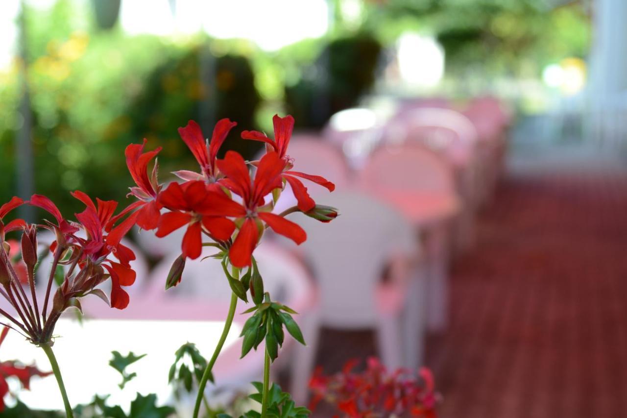 Bed and Breakfast Zoeld Zona Zamardi Ueduelo Exterior foto